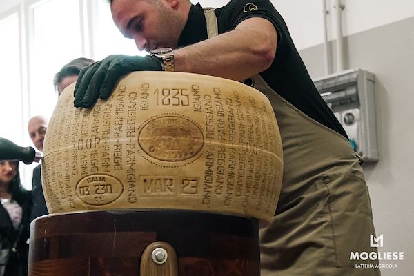 Discover the heart of Parmigiano Reggiano with “Open Dairy Farms”