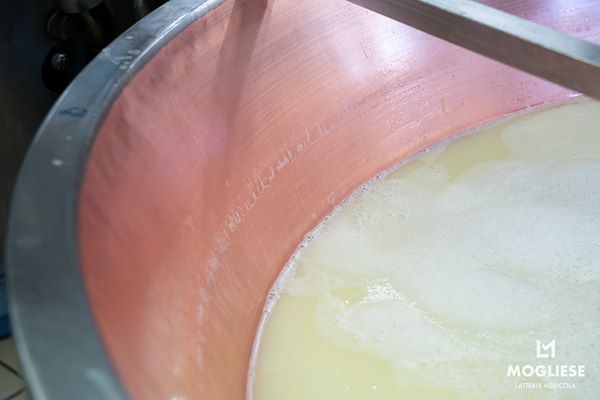 Scopri il cuore del Parmigiano Reggiano con Caseifici Aperti 12 e 13 Aprile 2025