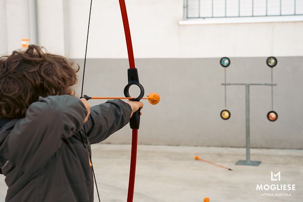 Discover the heart of Parmigiano Reggiano with “Open Dairy Farms”