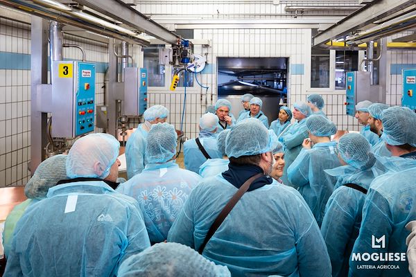 Discover the heart of Parmigiano Reggiano with “Open Dairy Farms”