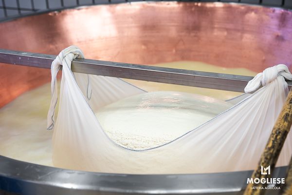 Scopri il cuore del Parmigiano Reggiano con Caseifici Aperti 12 e 13 Aprile 2025
