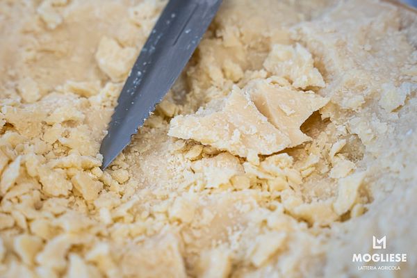 Scopri il cuore del Parmigiano Reggiano con Caseifici Aperti 12 e 13 Aprile 2025