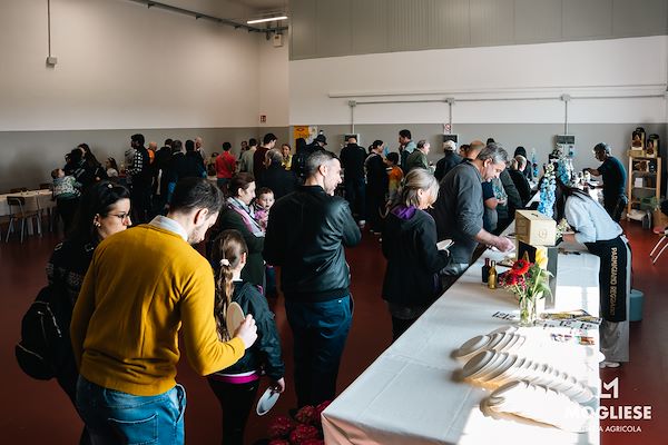 Discover the heart of Parmigiano Reggiano with “Open Dairy Farms”