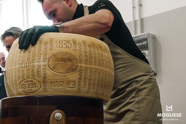 Scopri il cuore del Parmigiano Reggiano con Caseifici Aperti 12 e 13 Aprile 2025