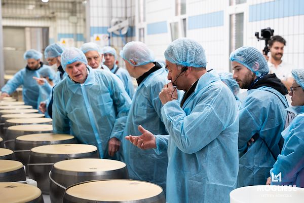 Discover the heart of Parmigiano Reggiano with “Open Dairy Farms”