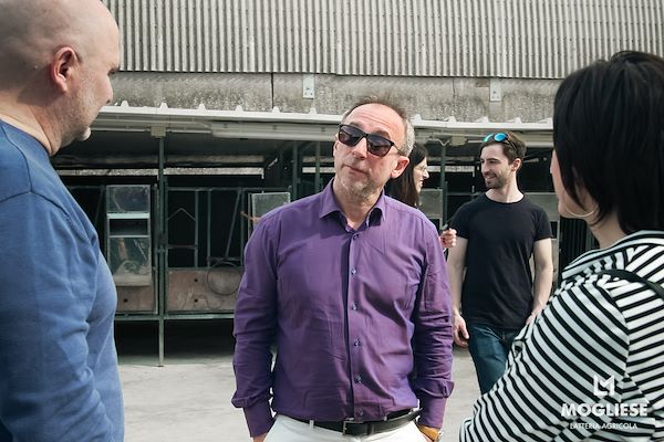 Discover the heart of Parmigiano Reggiano with “Open Dairy Farms”