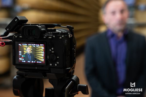 Discover the heart of Parmigiano Reggiano with “Open Dairy Farms”