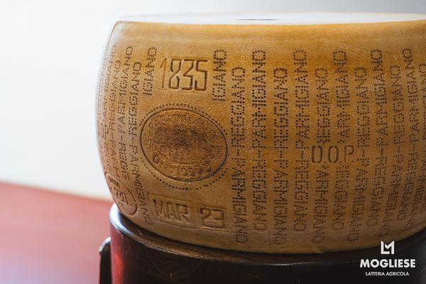 Scopri il cuore del Parmigiano Reggiano con Caseifici Aperti 12 e 13 Aprile 2025