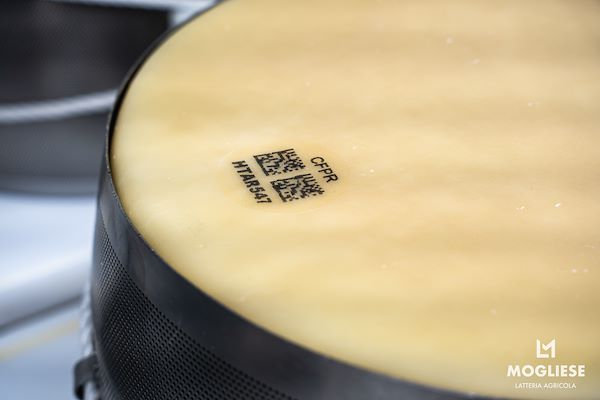 Scopri il cuore del Parmigiano Reggiano con Caseifici Aperti 12 e 13 Aprile 2025